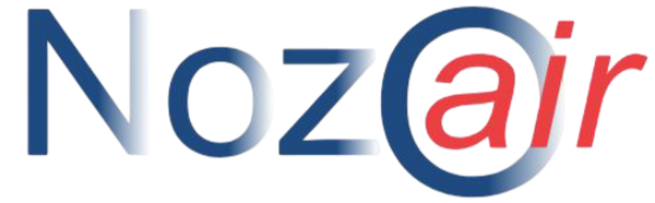 Nozair logo with blue and red colors  transparent